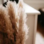 Appartement Alte Molkerei *