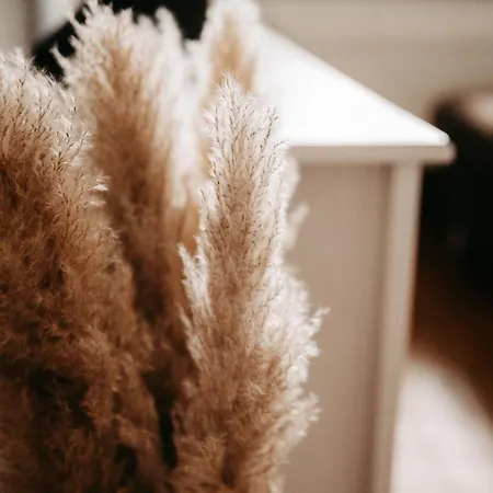 Alte Molkerei Appartamento Schadeland