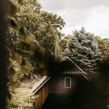 Alte Molkerei Apartman *