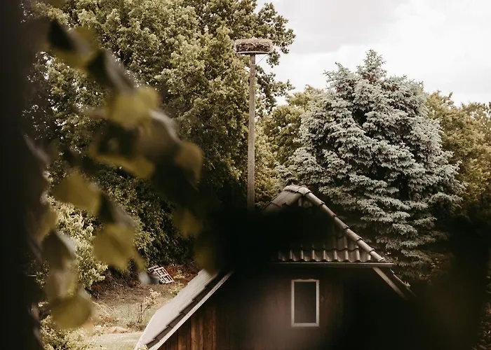 Alte Molkerei アパート *