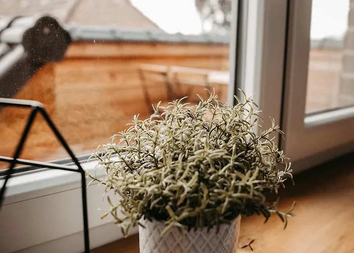 アパート Alte Molkerei Schadeland